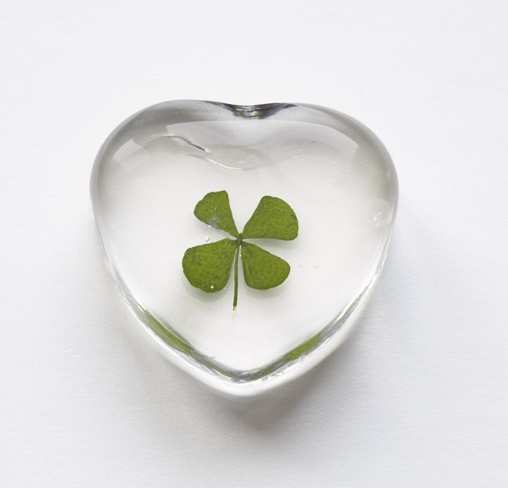 Flower Power Herzen Sortiment "Klee"