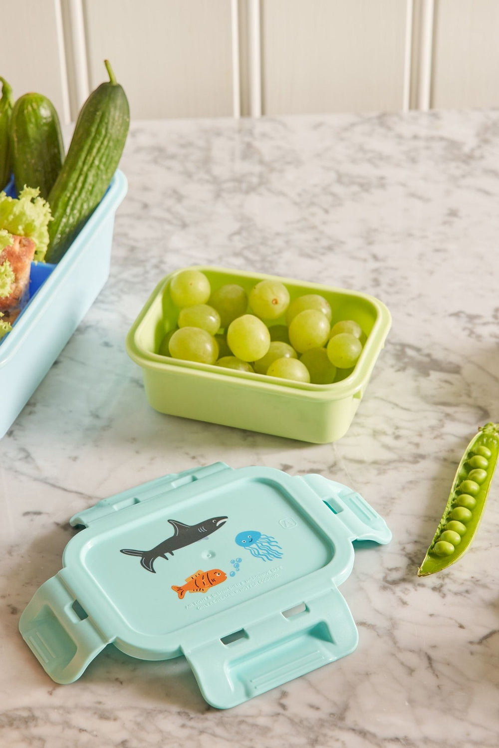 Lunchbox mit Airtight Deckel und Mint Wildlife Print – klein
