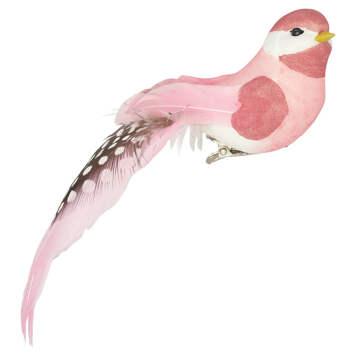 Vogel Pastell