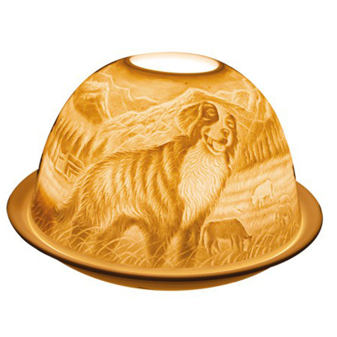 Teelichtkuppel aus Porzellan - Berner Sennenhund
