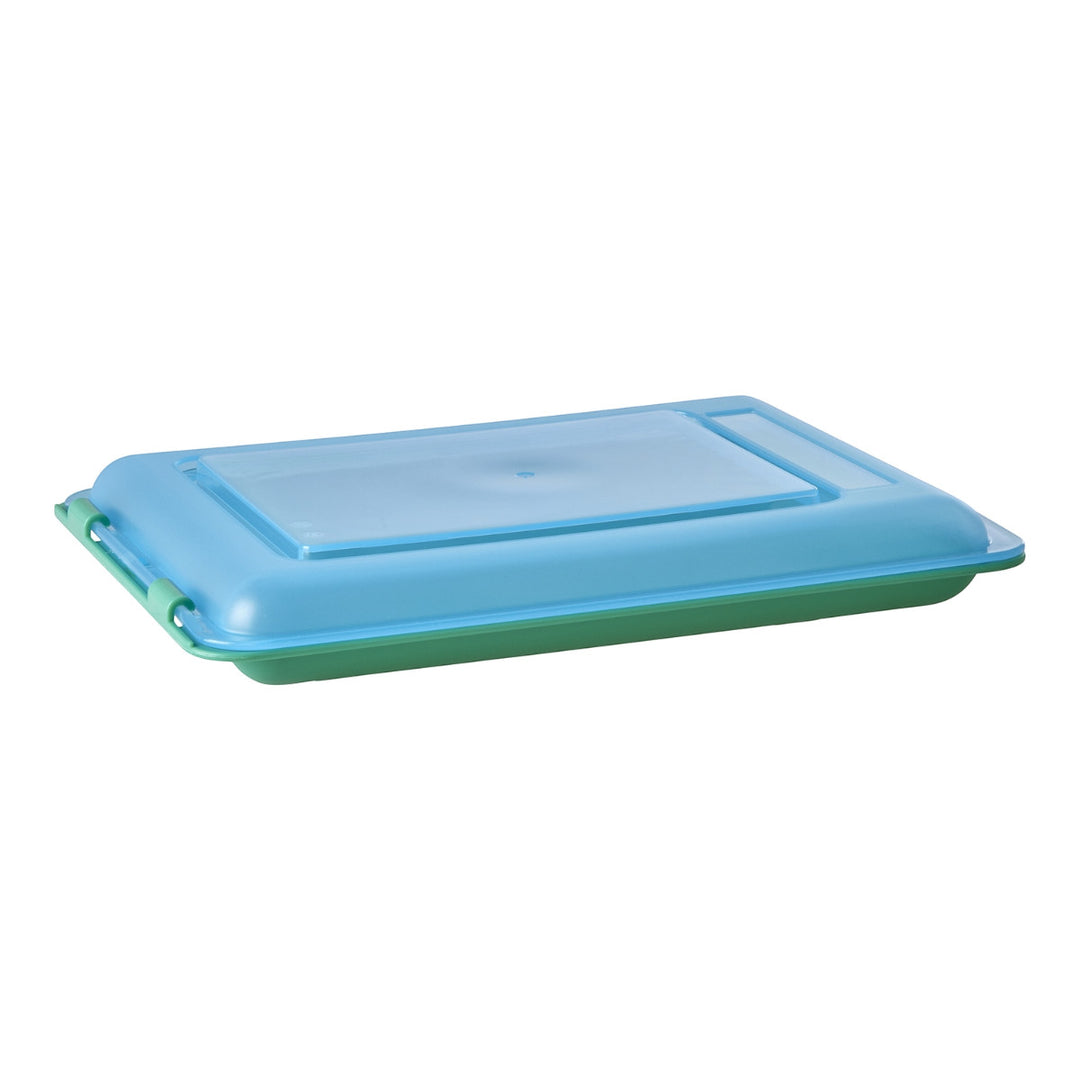 Lebensmittelbehälter in der Farbe Grün mit blauem Deckel – 470 ml