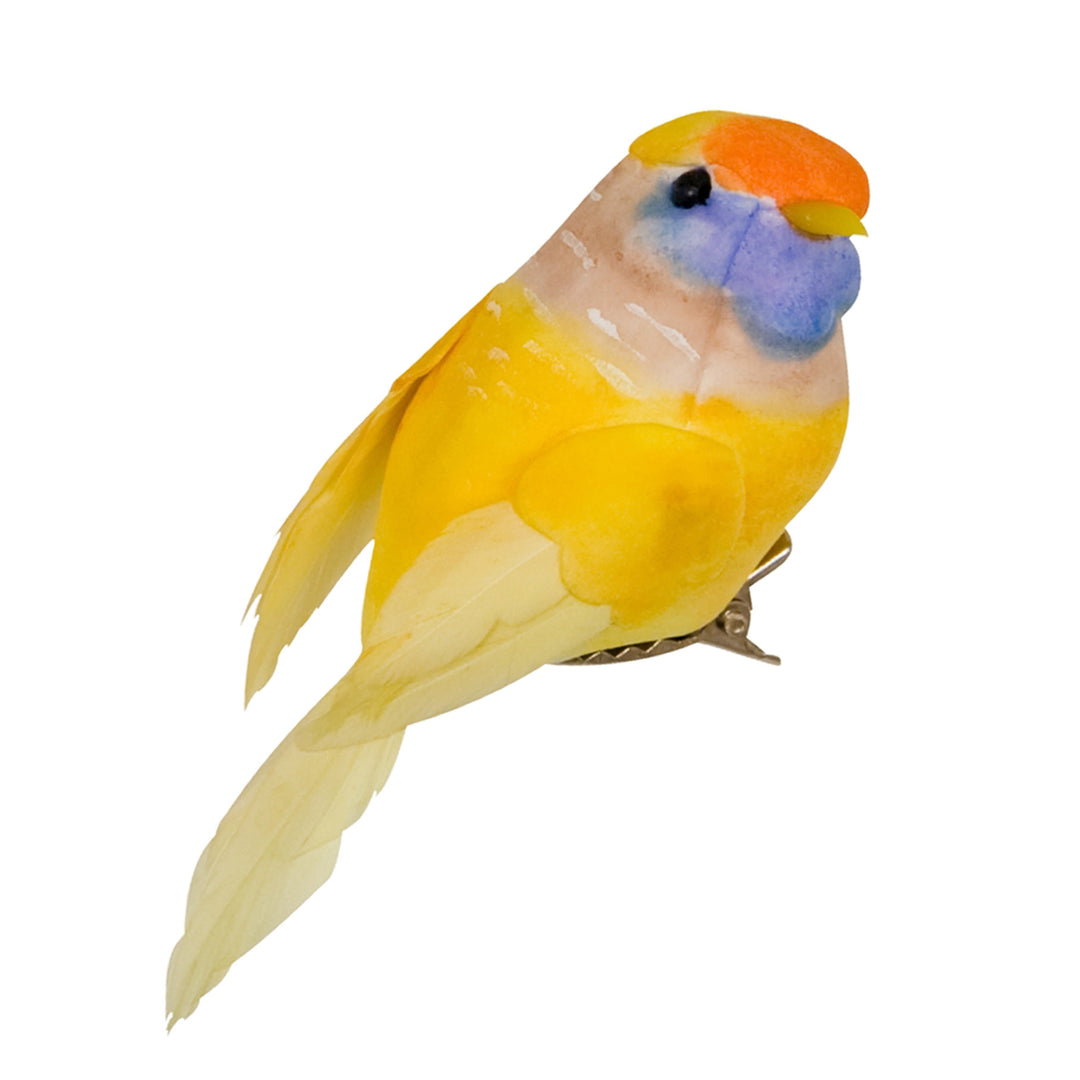 Vogel mit Clip - Mehrfarbig
