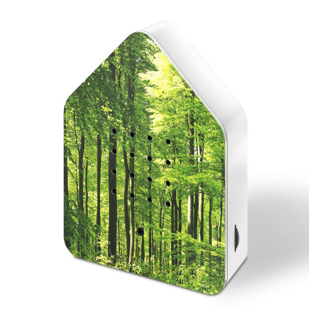 Zwitscherbox Forest