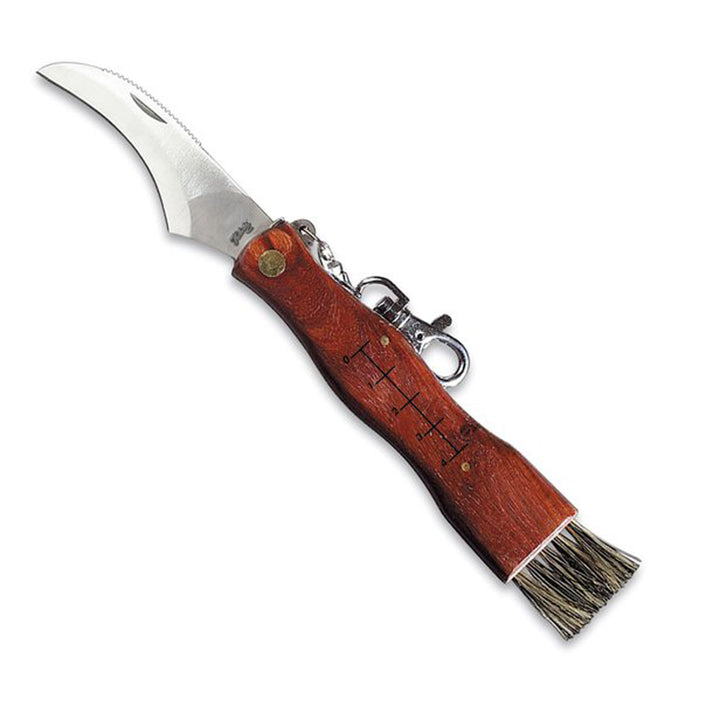 folding mushroom knife with brush