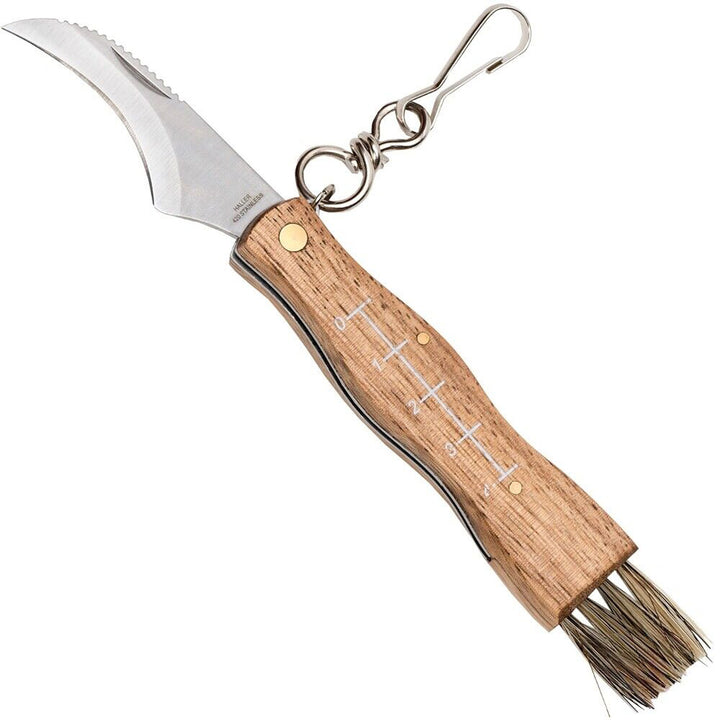 folding mushroom knife with brush