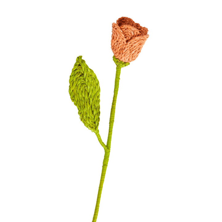 Raffia Blume - Apricot